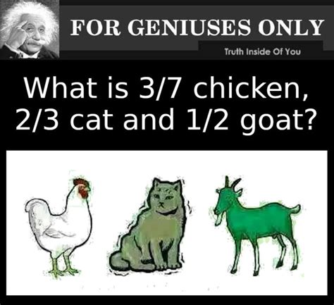 what is 3/7 chicken, 2/3 cat, and 2/4 goat|What's 3/7 Chicken, 2/3 Cat, And 2/4 Goat .